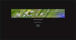 Desktop Screenshot of heidiwalsh.de